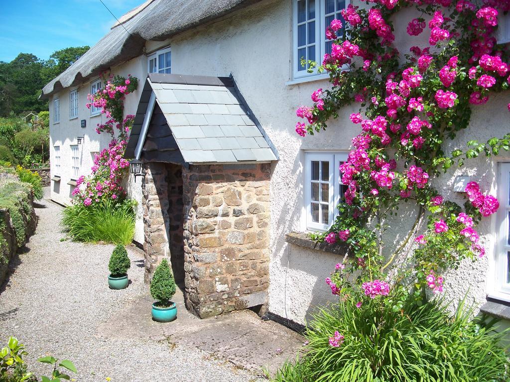 Fernside Bed And Breakfast Templeton  Exterior photo