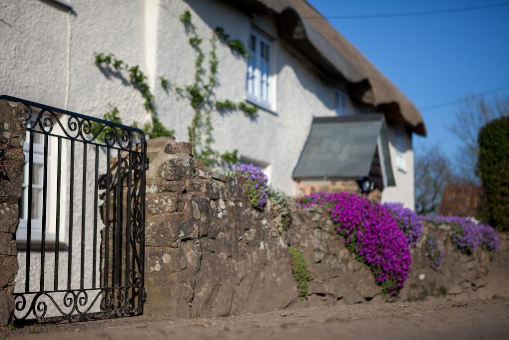 Fernside Bed And Breakfast Templeton  Exterior photo