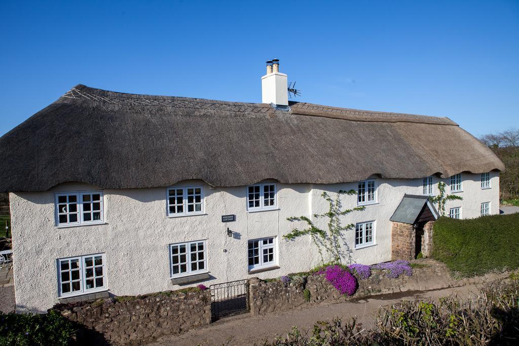 Fernside Bed And Breakfast Templeton  Exterior photo