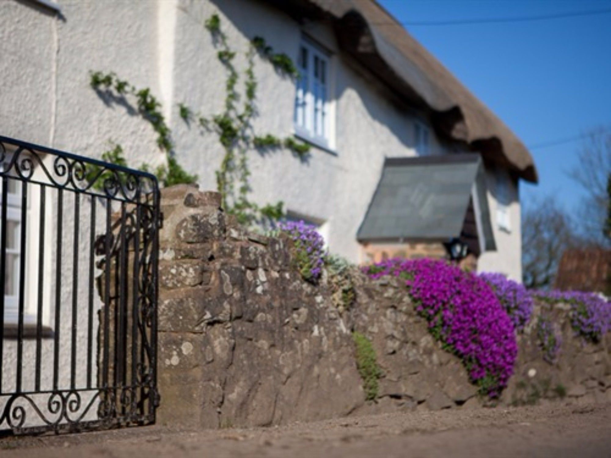 Fernside Bed And Breakfast Templeton  Exterior photo