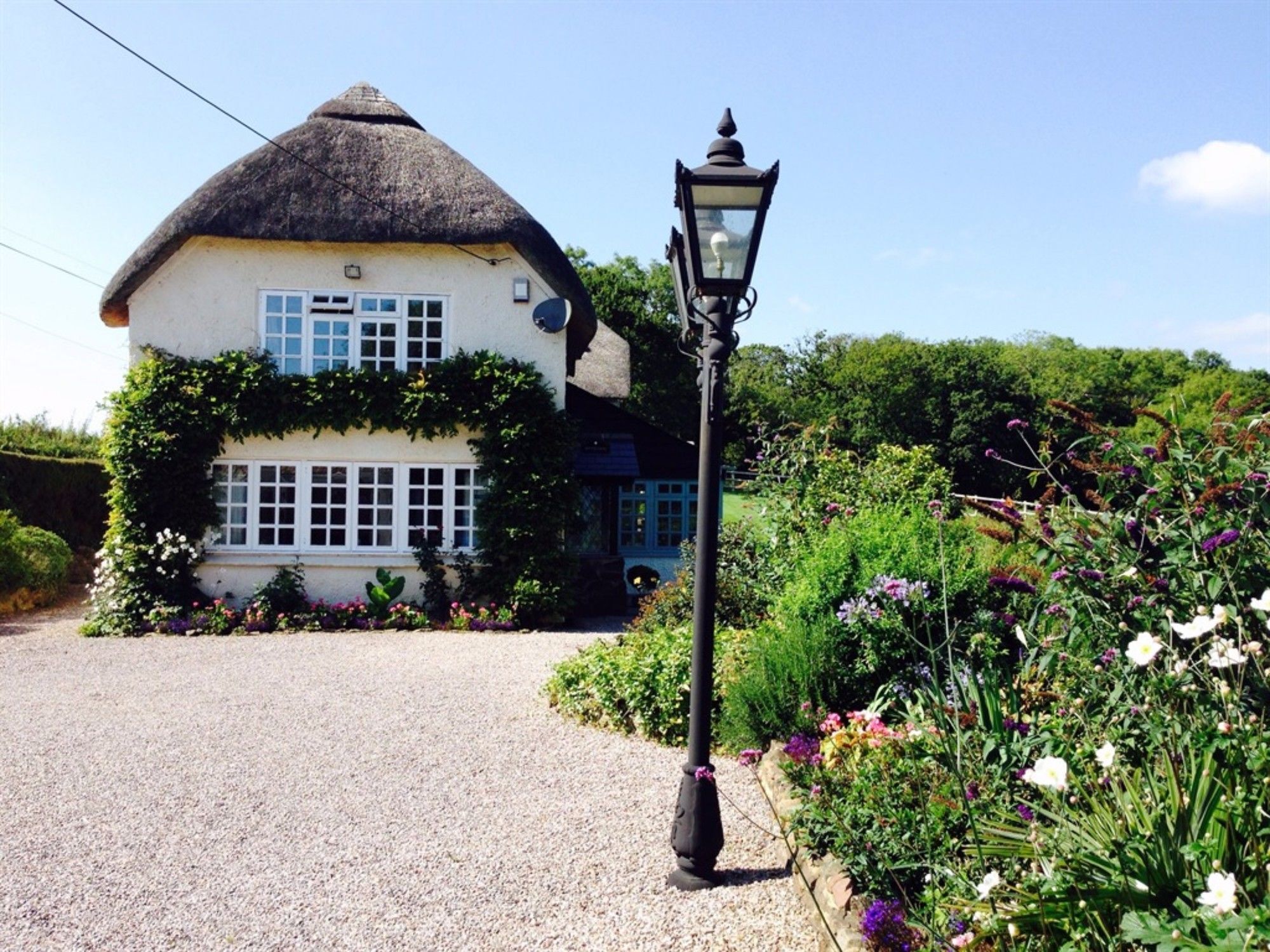 Fernside Bed And Breakfast Templeton  Exterior photo